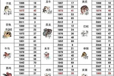 02年生肖|生肖查询：2002年属什么生肖？